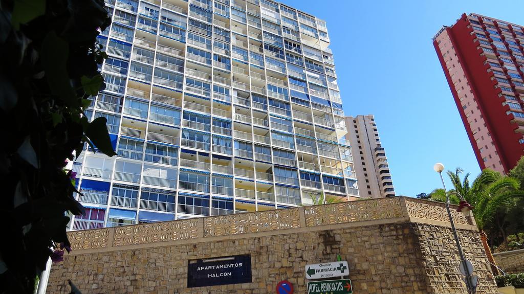 Halcon Levante Benidorm Oda fotoğraf
